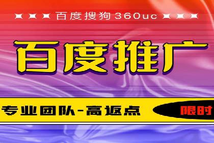 百度竞价排名案例解析：如何快速提升网站流量