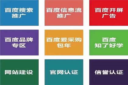 探索专业SEM托管的奥秘：从案例看效果